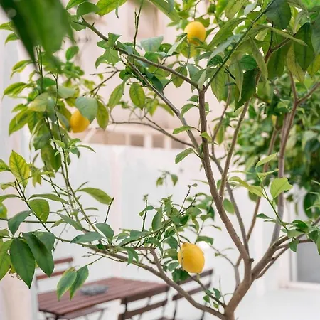 Ideal Office Com Terraco Privado Lissabon