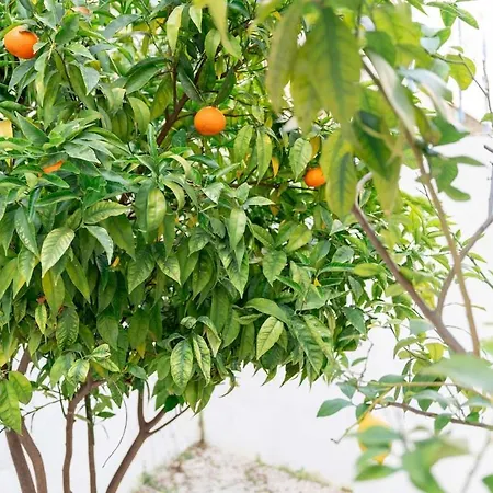 Ideal Office Com Terraco Privado アパート *