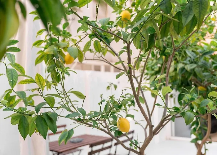 Ideal Office Com Terraço Privado Lisboa